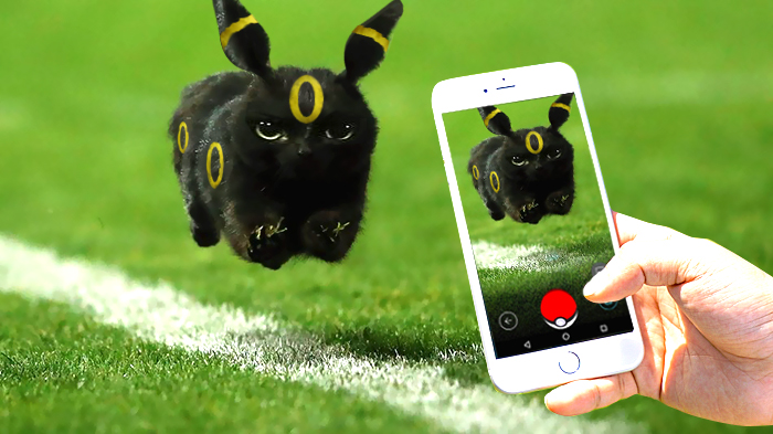 gato-volador-partido-rugby-photoshop (1)