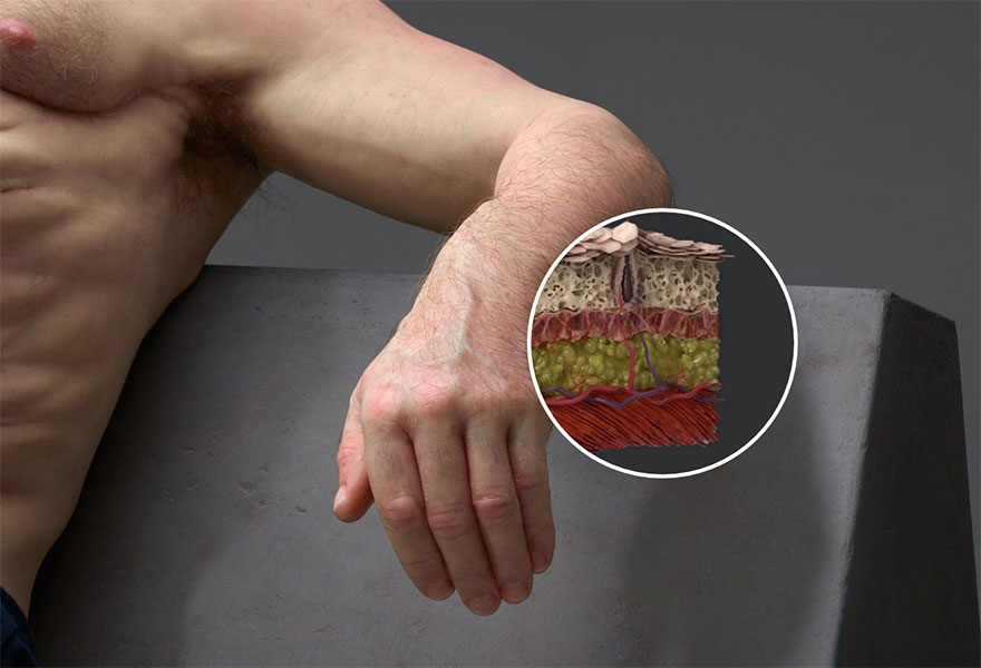 graham-cuerpo-que-sobrevive-un-accidente-vial-seguridad-patricia-piccinini (10)