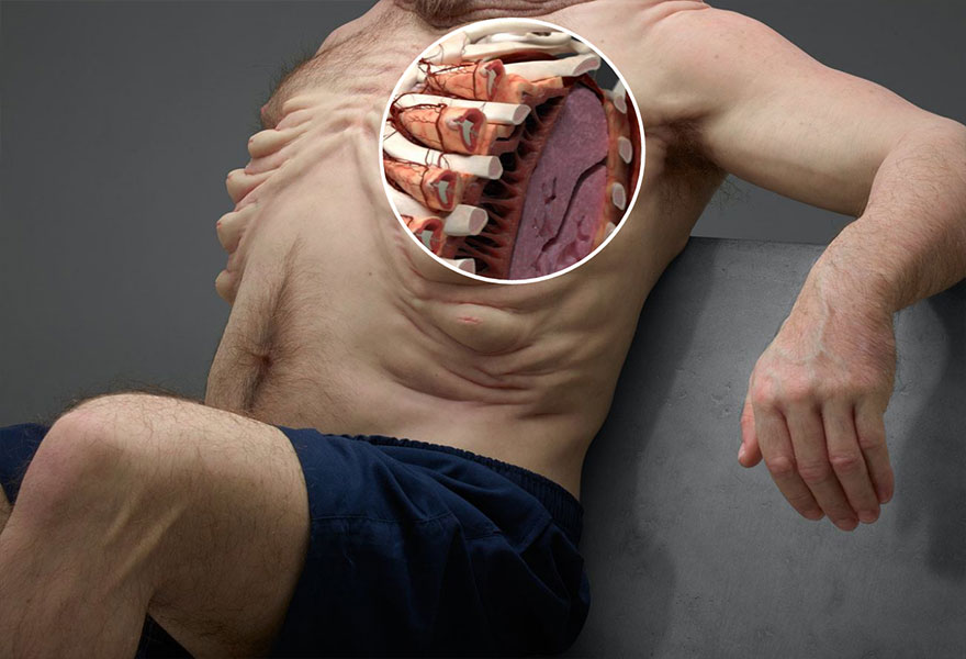 graham-cuerpo-que-sobrevive-un-accidente-vial-seguridad-patricia-piccinini (9)