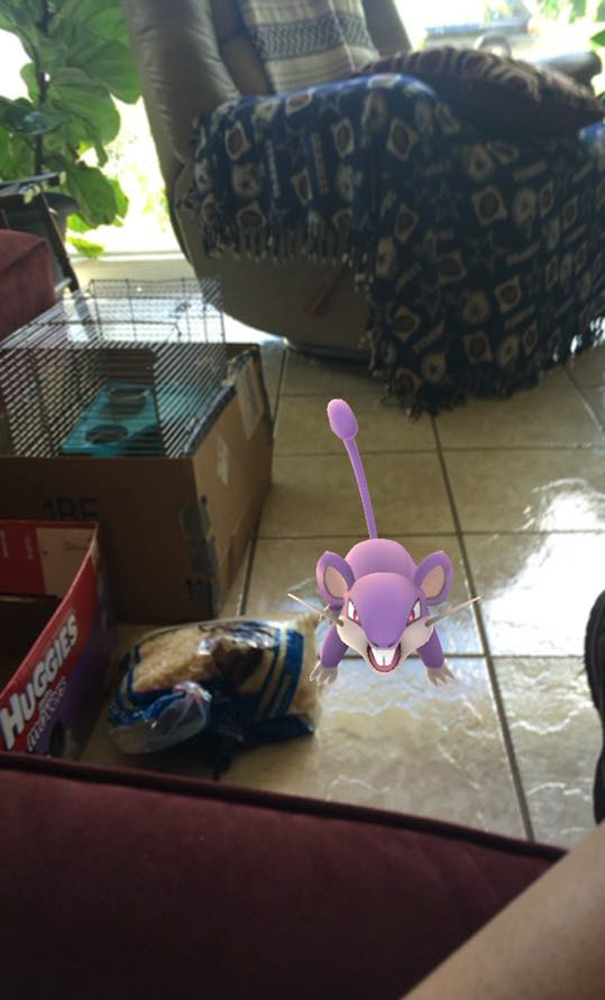 jugadores-pokemongo-rescatan-27-animales-abandonados (1)