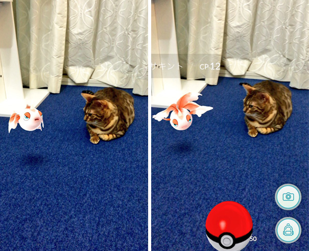 mascotas-capaces-ver-pokemon-go-japon (14)