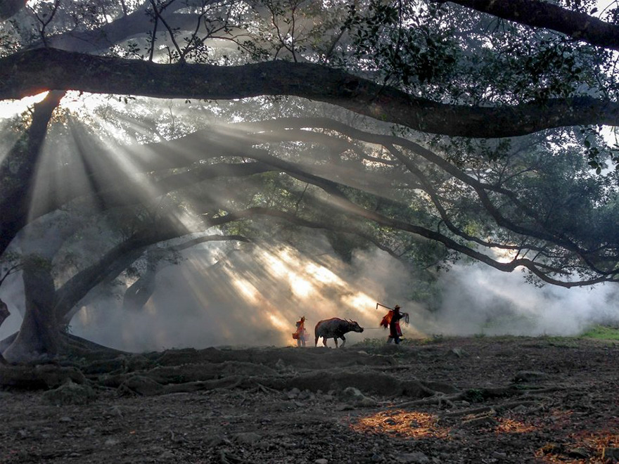 premios-fotografia-iphone-ippawards-2016 (15)