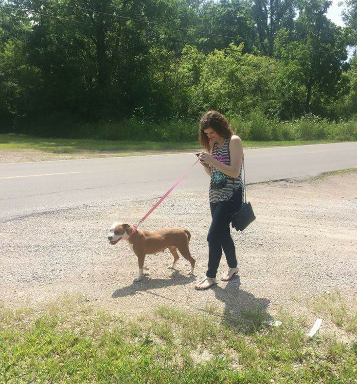 refugio-animal-paseo-perros-pokemon-go (4)