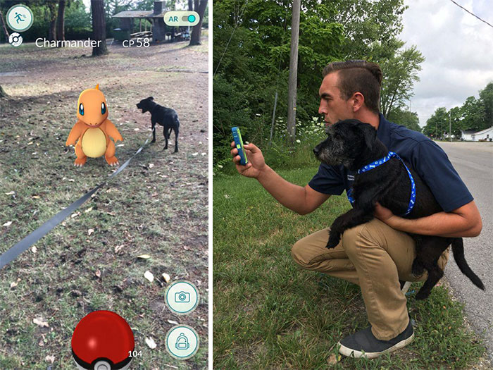 Cuando este refugio animal pidió a jugadores de pokemon que pasearan a sus perros, no se esperaban esto