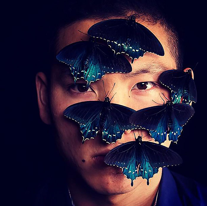 repoblacion-especie-mariposa-tim-wong-california (9)