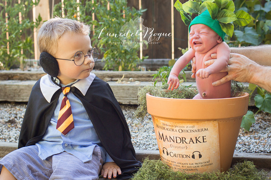 sesion-fotos-harry-potter-bebe-mandragora-kelsey-clouse (4)