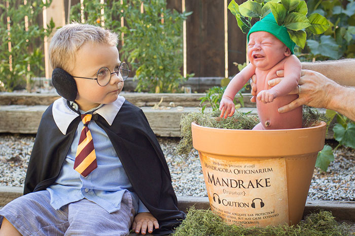 Esta sesión de fotos de Harry Potter con un bebé haciendo de mandrágora chillona se ha vuelto viral
