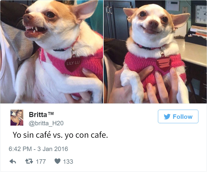 tuits-divertidos-cafe-7