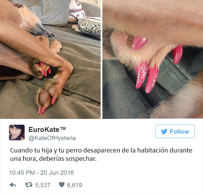 tuits-divertidos-ninos-7
