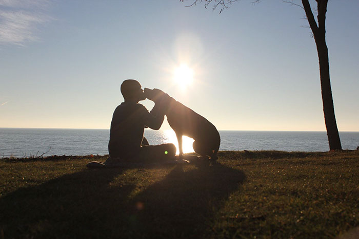 viaje-eeuu-perro-cancer-bella-robert-kugler (8)