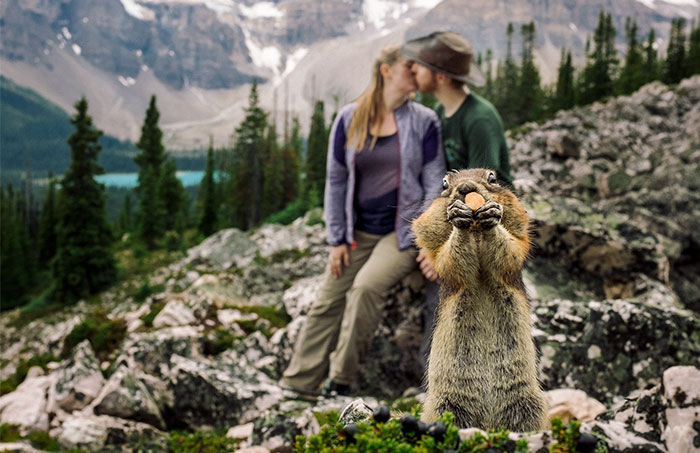 Esta ardilla hizo photobomb de forma adorable durante una sesión de fotos de compromiso