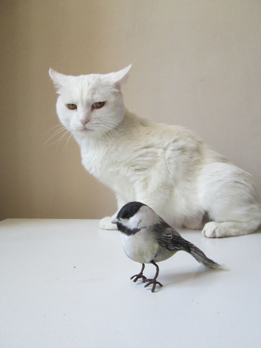 cojines-forma-animal-francesca-mosmea (11)