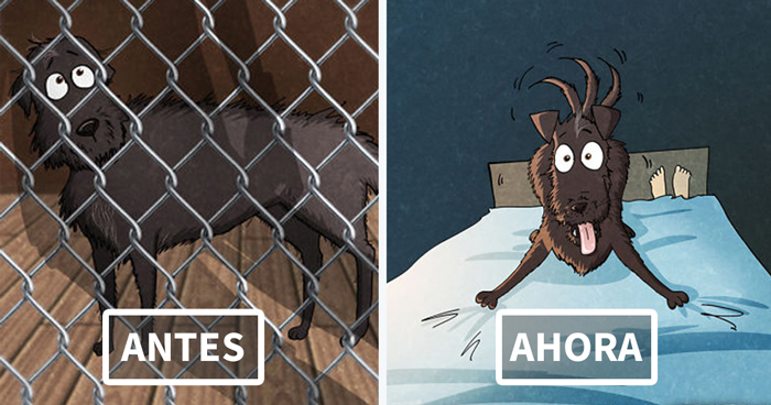 Hemos adoptado un perro de un refugio animal (Experiencia personal)