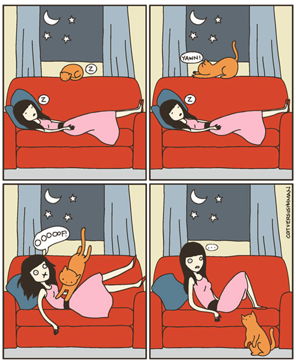 comics-convivir-gatos-15