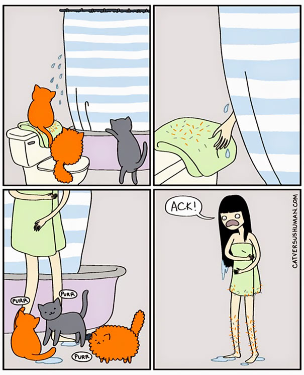 comics-gatos-catversushuman (10)