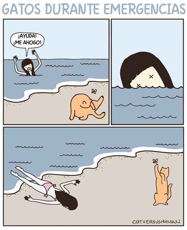 comics-gatos-catversushuman (2)