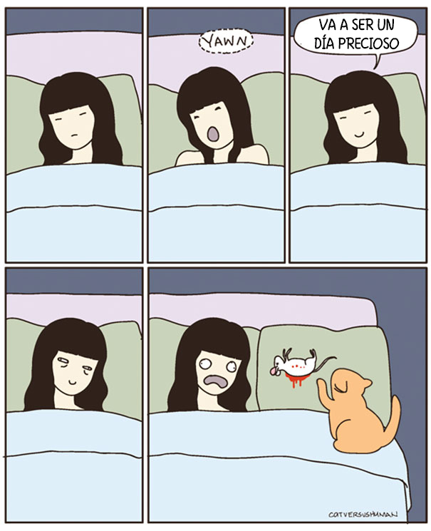 comics-gatos-catversushuman-2