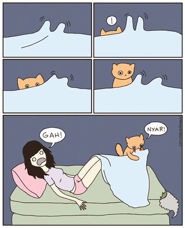comics-gatos-catversushuman (6)