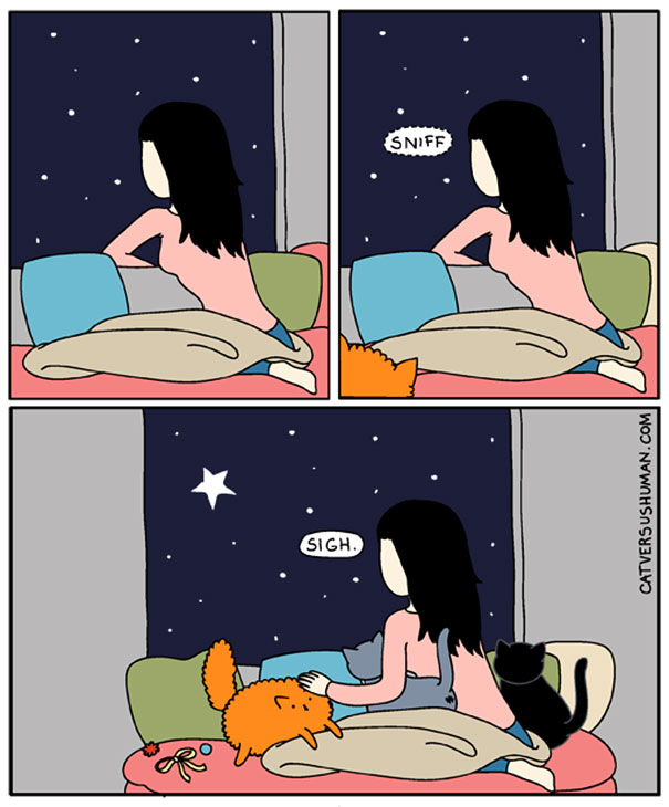comics-gatos-catversushuman (8)