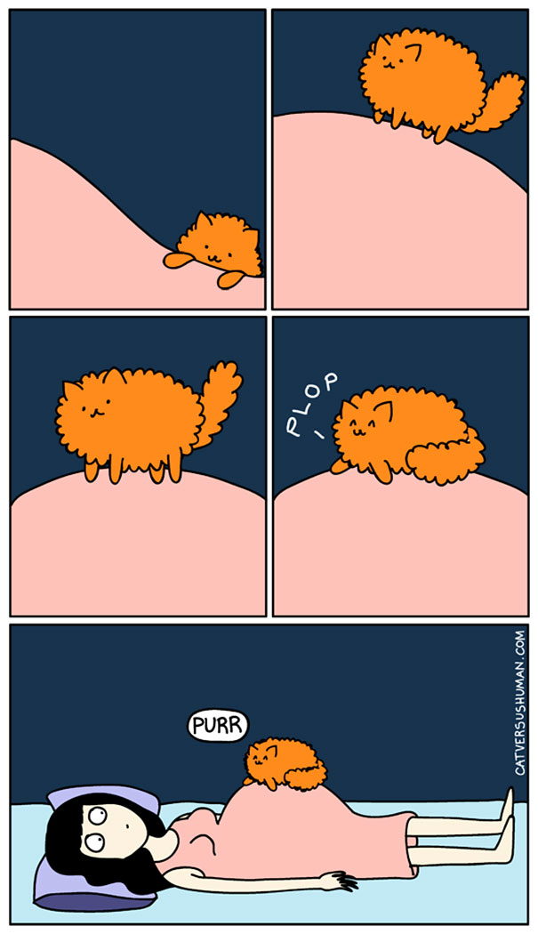 comics-gatos-catversushuman (9)