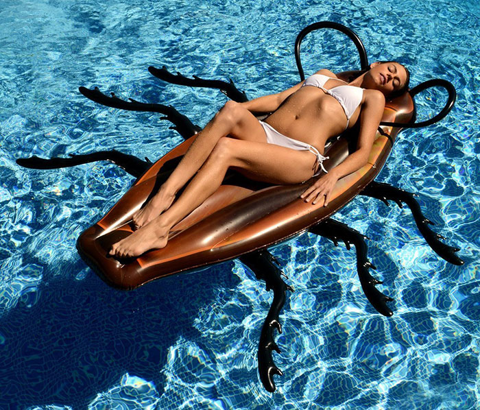 cucaracha-gigante-hinchable-piscina-kangaroo (2)