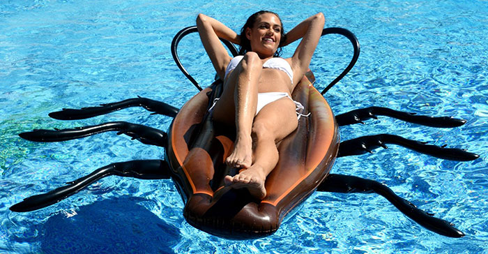 cucaracha-gigante-hinchable-piscina-kangaroo (5)