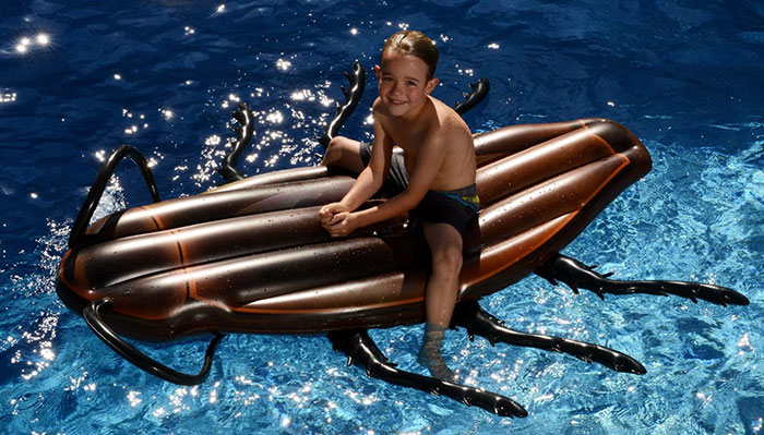 cucaracha-gigante-hinchable-piscina-kangaroo (6)