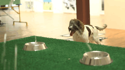 exposicion-arte-perros-play-more-dominic-wilcox-londres (2)