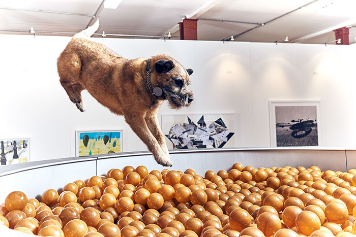 exposicion-arte-perros-play-more-dominic-wilcox-londres (2)