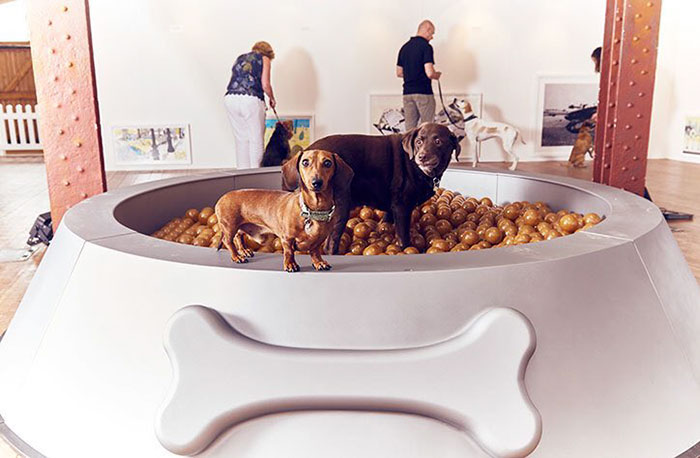 exposicion-arte-perros-play-more-dominic-wilcox-londres (3)