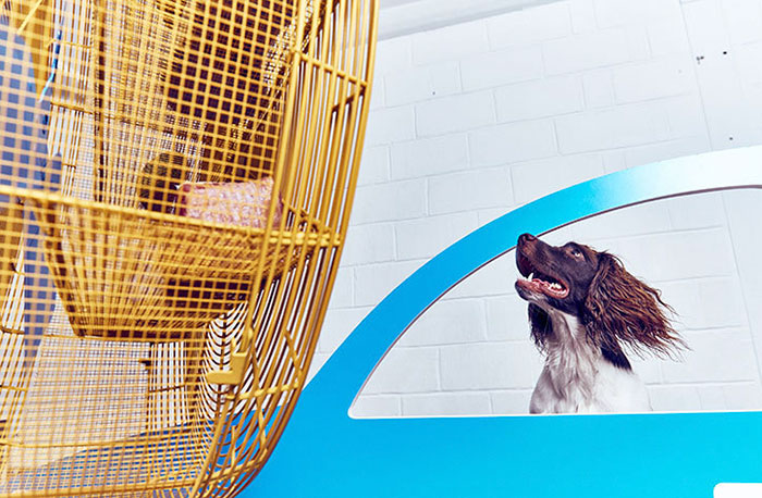 exposicion-arte-perros-play-more-dominic-wilcox-londres (6)