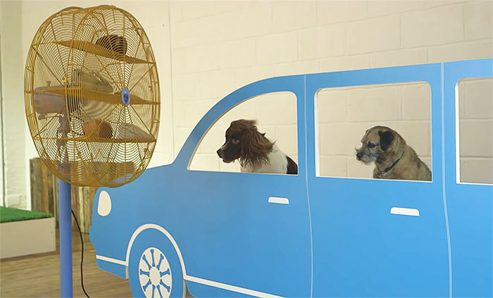 exposicion-arte-perros-play-more-dominic-wilcox-londres (8)