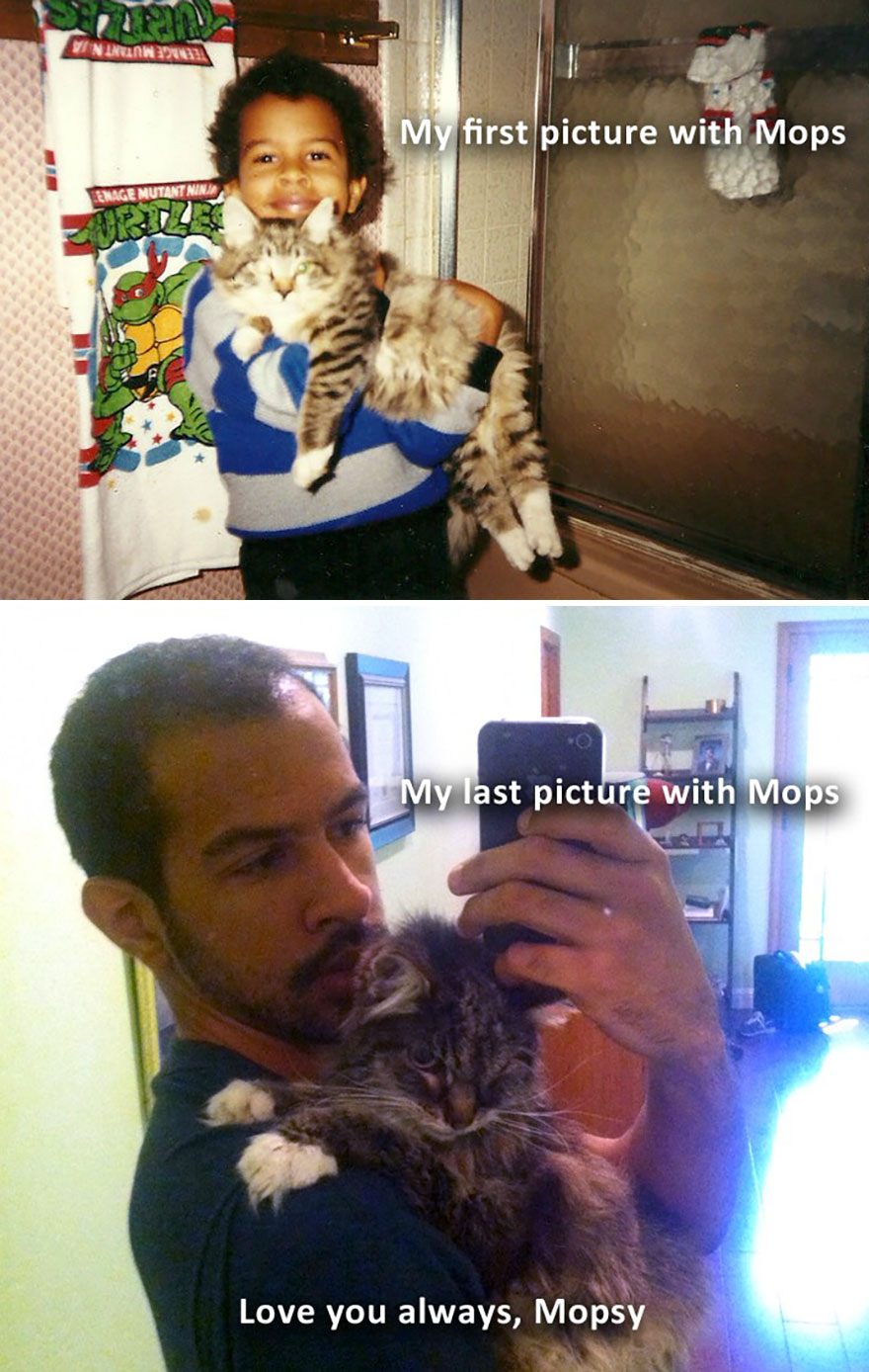 gato-moribundo-andrew-pata-duenos (4)