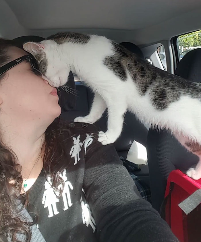 gato-rescatado-agradecido-henry (4)
