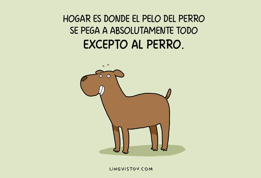ilustraciones-perros-lingvistov-10