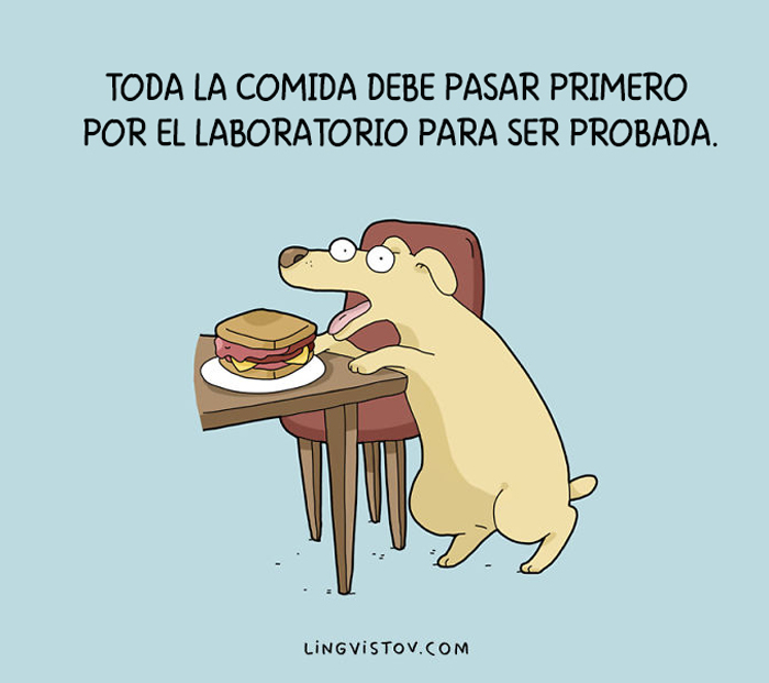 10 Ilustraciones que entenderán los dueños de perros