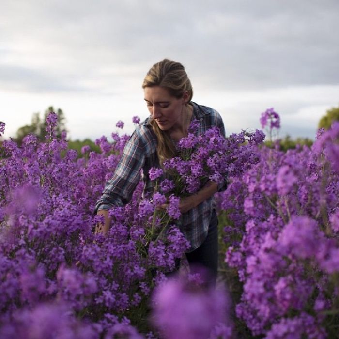 instagram-flores-floret-flowers-erin-benzakein (13)