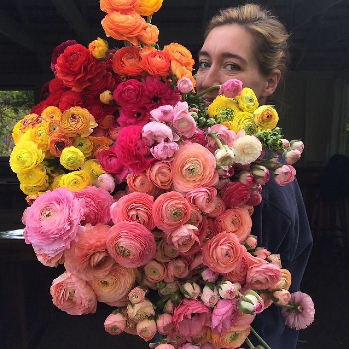 instagram-flores-floret-flowers-erin-benzakein (3)