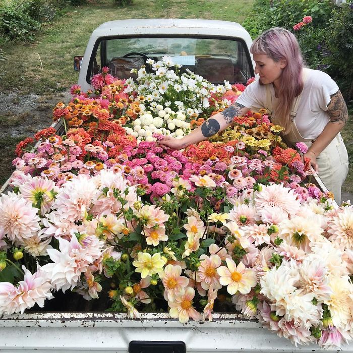 instagram-flores-floret-flowers-erin-benzakein (5)