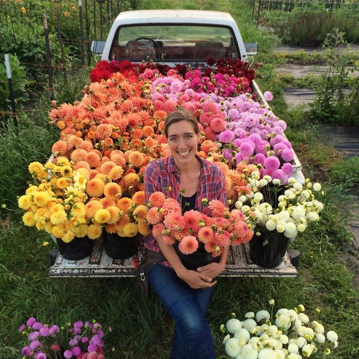 instagram-flores-floret-flowers-erin-benzakein (7)