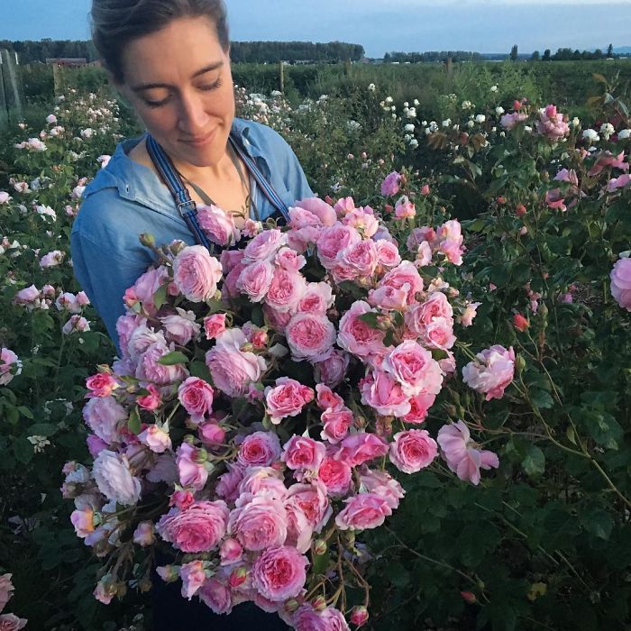 instagram-flores-floret-flowers-erin-benzakein (9)