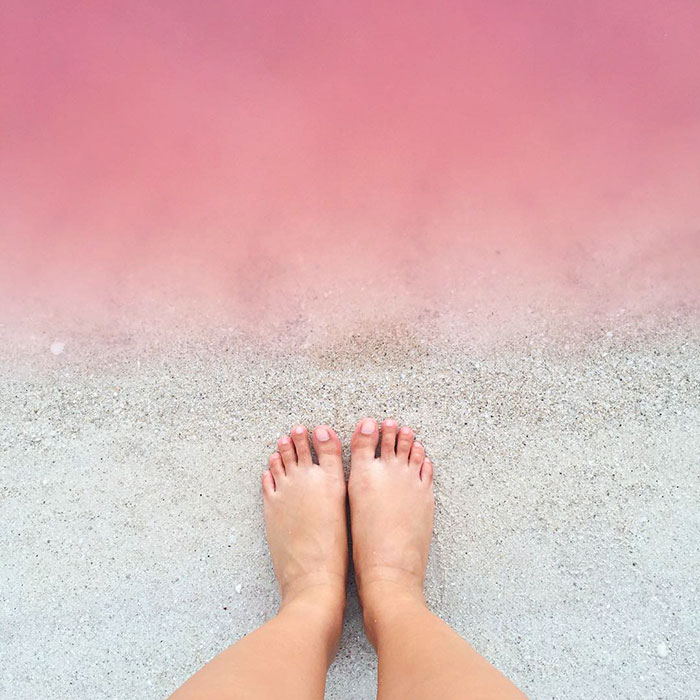 laguna-rosa-las-coloradas-mexico (1)