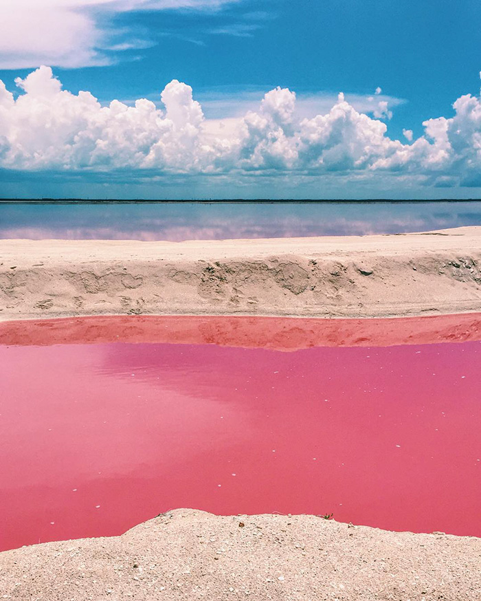 laguna-rosa-las-coloradas-mexico (2)
