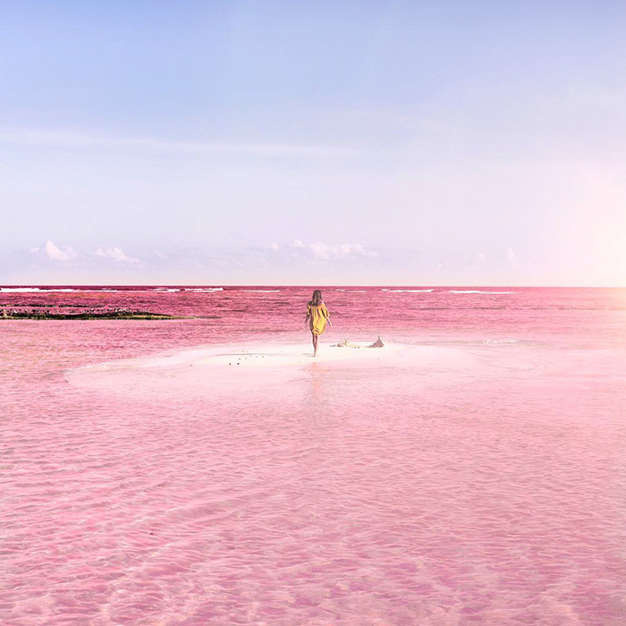 laguna-rosa-las-coloradas-mexico (5)