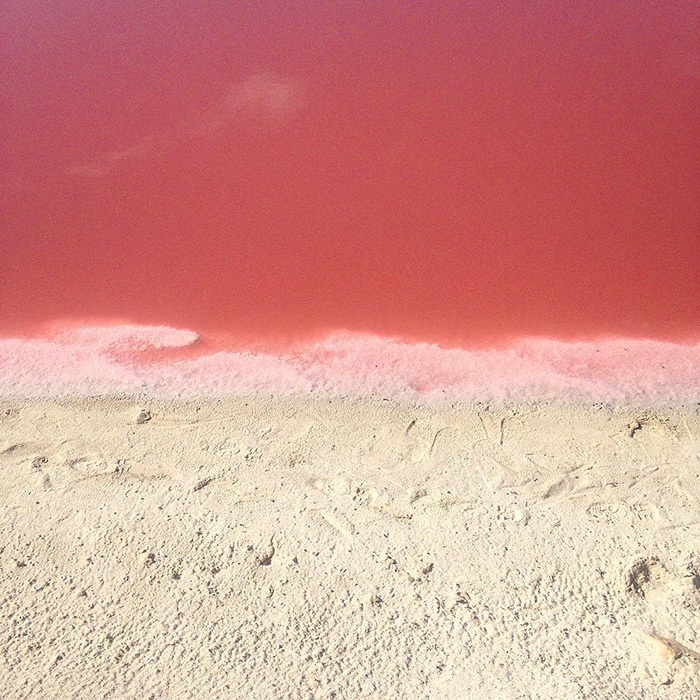 laguna-rosa-las-coloradas-mexico (7)