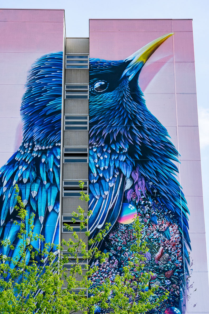 mural-gigante-estornino-arte-urbano-berlin (3)