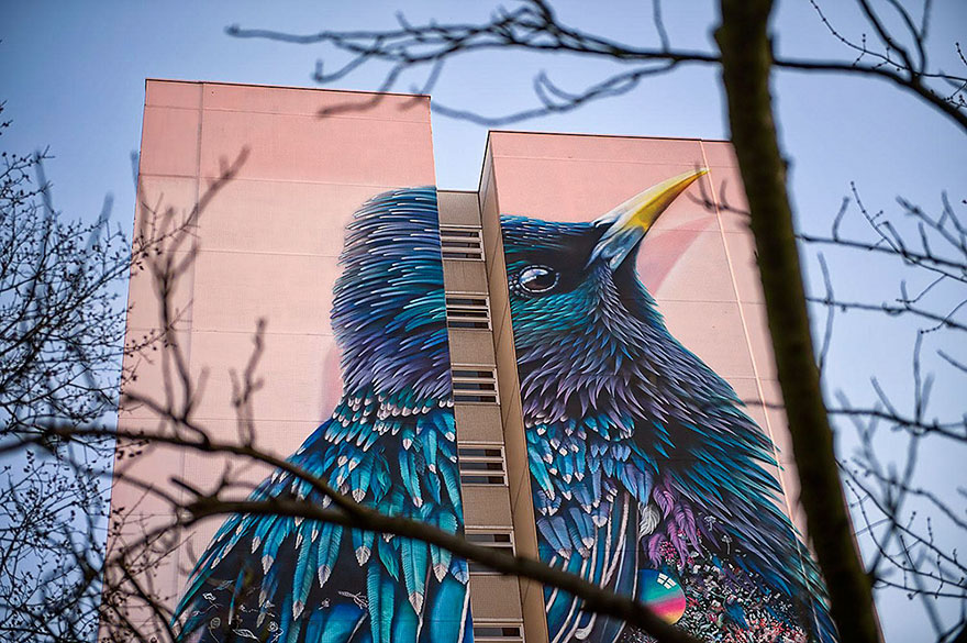 mural-gigante-estornino-arte-urbano-berlin (4)
