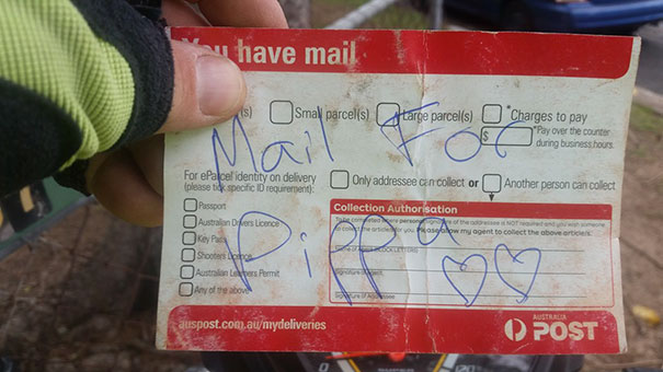 perro-pippa-recoge-correo-cartero-martin-studer (3)