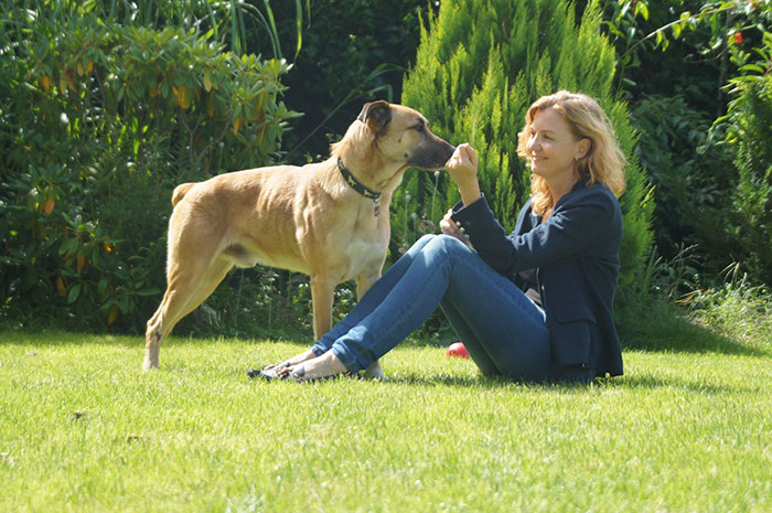 perro-rubio-espera-hotel-olivia-sievers-argentina (2)
