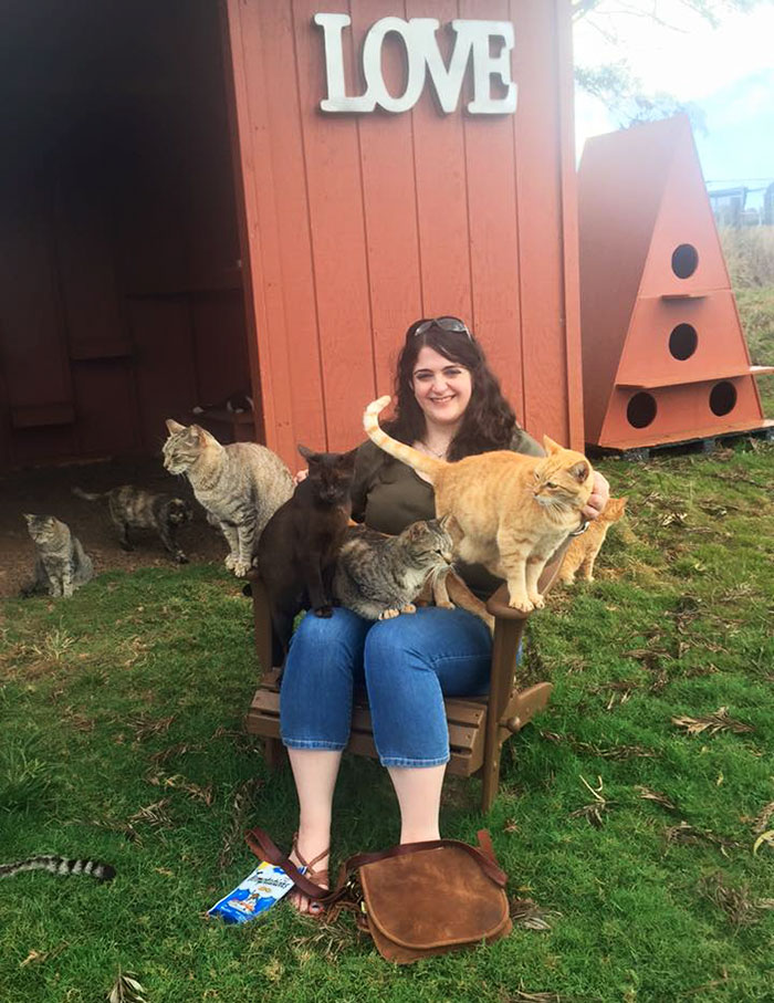 santuario-gatos-lanai-hawai (2)